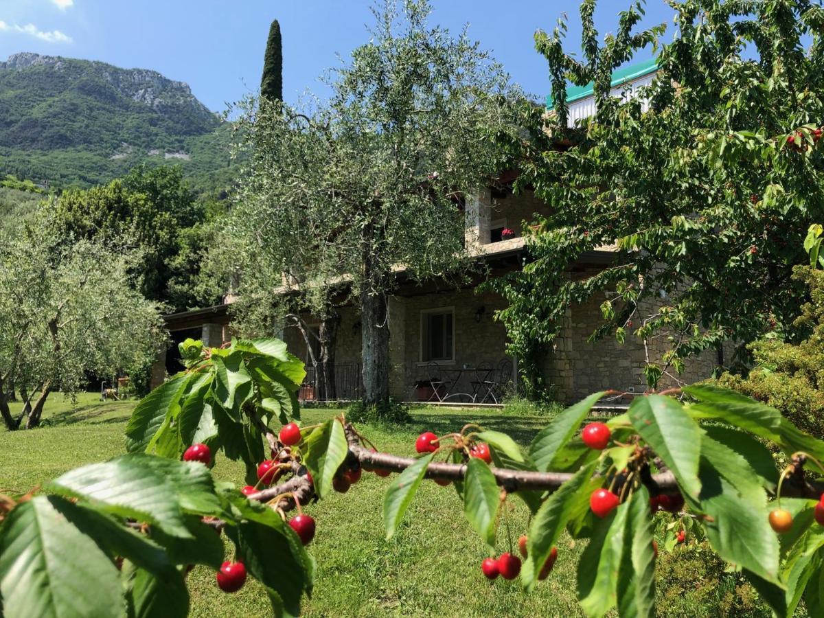 La Cascata Negli Ulivi Bed & Breakfast Toscolano Maderno Ngoại thất bức ảnh