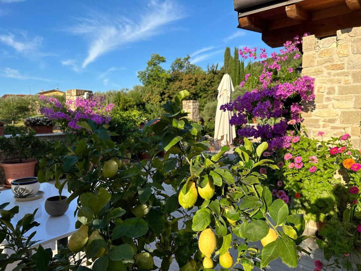La Cascata Negli Ulivi Bed & Breakfast Toscolano Maderno Ngoại thất bức ảnh